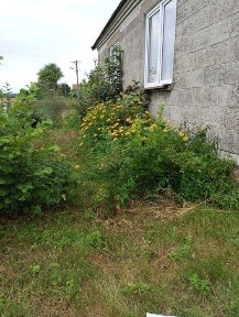 Dom z budynkami gospodarczymi na działce 0,2075 ha