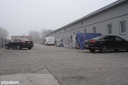 ul. Kasztanowa 5, Skarbimierz-Osiedle, Skarbimierz, brzeski, opolskie