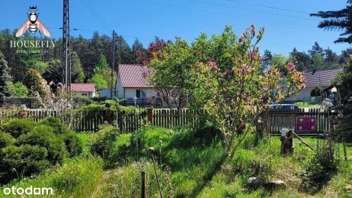 Dom z dużą działką