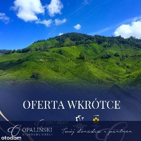 Dom z ogrodem i garażem umeblowany i wyposażony