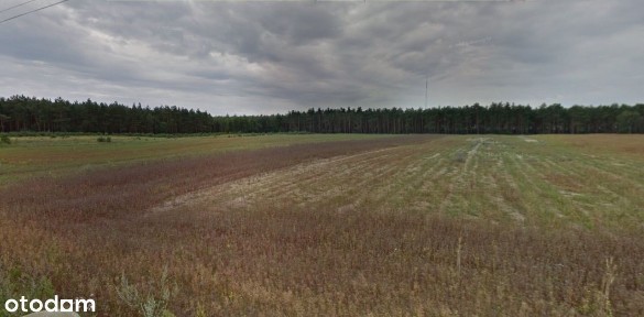 Kijowskie Nowiny, Ślesin, koniński, wielkopolskie