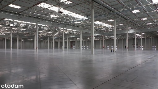 Opacz-Kolonia, Michałowice, pruszkowski, mazowieckie