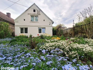 Dom z dużą działką obok Oławy.