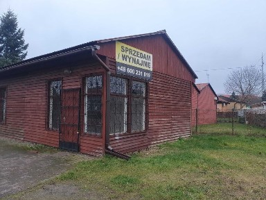 Lokal do wynajęcia