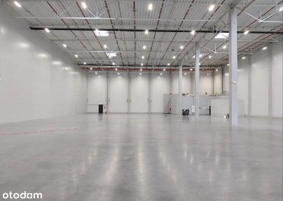 4000m2 Hala A-klasa Katowice w dobrej lokalizacji!