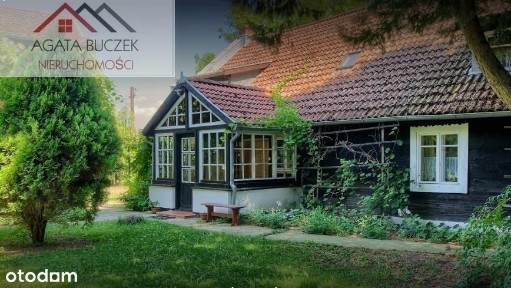 Pensjonat, okolica - las, jezioro