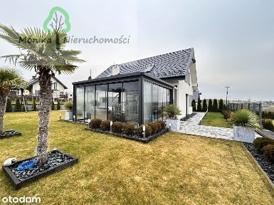 Inteligentny dom z basenem z palmami