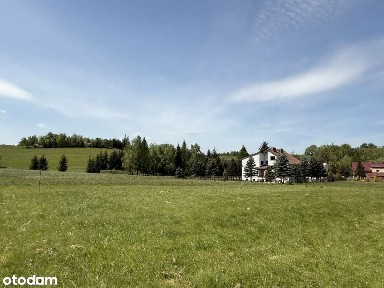 Dom wolnostojący z piękna działką we wsi Jabłów