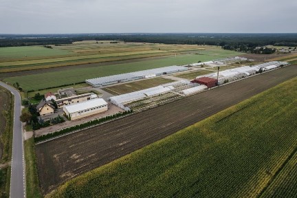 Wielkopolskie, Brudzew