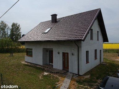 Rybina, Stegna, nowodworski, pomorskie