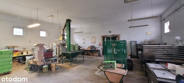 Do wynajęcia hala z biurami Wieliczka, Sułków