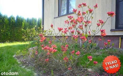 Dom do zamieszkania blisko Kazimierza Dolnego!