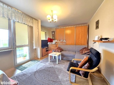 Świdnica, świdnicki, dolnośląskie