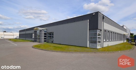 ul. Opłotki, Kotowo, Grunwald, Poznań, wielkopolskie