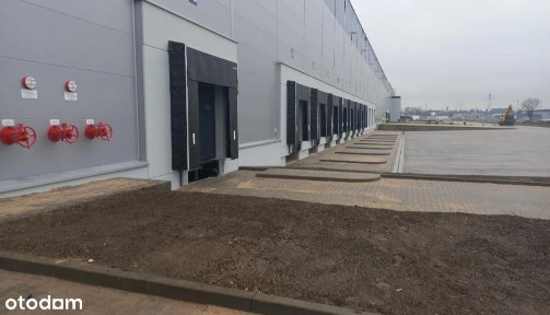 Kochłowice, Ruda Śląska, śląskie