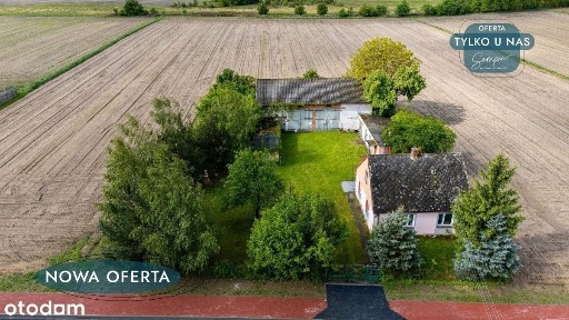 Dom wśród drzew i śpiewu ptaków