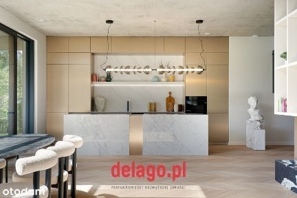 Gotowy do wprowadzenia-modern! dom przy Szkole ASW