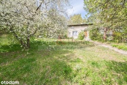 ul. Jacka Malczewskiego, Lisie Wzgórze, Górny Sopot, Sopot, pomorskie