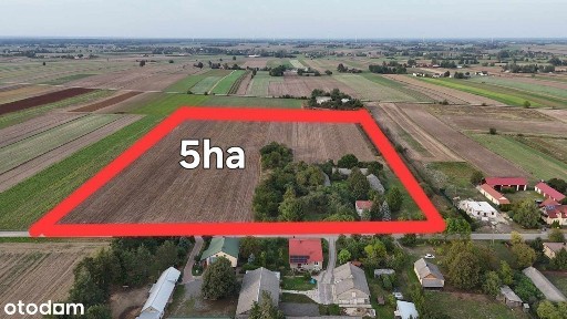 Siedlisko 5ha w miejscowości Wielkie gm Abramów 10km od S17