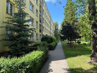 Sikornik - Kawalerka - Bezpośrednio