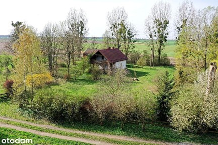 Natura, cisza, kameralność, śpiew ptaków
