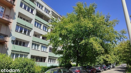 ul. Tuwima - przestronne, słoneczne, 3 pok. w niskim bloku, balkon !