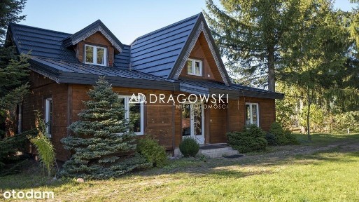 Obiekt turystyczny w Puszczy Białowieskiej