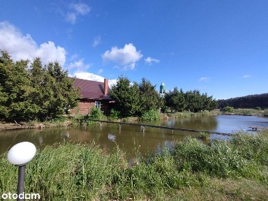 Gospodarstwo agroturystyczne wśród, zieleni. Cena do negocjacji.