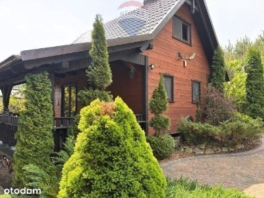 Dom w lesie na pięknej działce za Kościerzyną