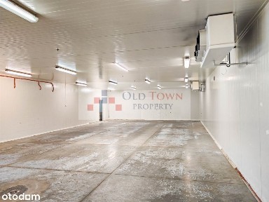 Hala z chłodnią 760 m2 Felin