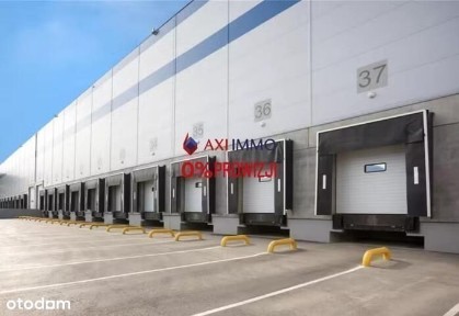 Powierzchnia magazynowa 2 351 m2 /Poznań, Plewiska