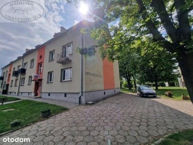 Parter, dwa pokoje, duży taras, duża piwnica