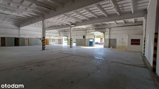 ul. Chorzowska, Dzierzków, Radom, mazowieckie