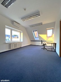 Lokal użytkowy Lipowa 900 m²