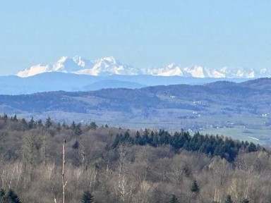 Działka budowlana uzbrojona pod dom (WZ) zacisze, obok Zalew Mokrzycki