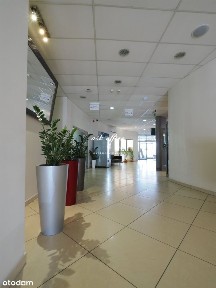 Lokal użytkowy, 180 m², Wrocław