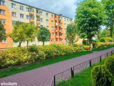 Mieszkanie na sprzedaż, Radom, 1 pokój