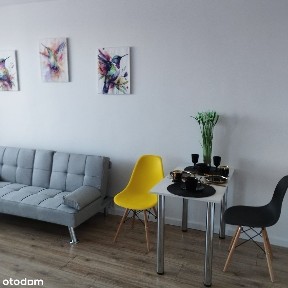 Na sprzedaż duże 2 pokoje z osobną kuchnią do wprowadzenia