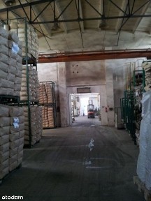 Hala produkcyjno-magazynowa ok. 4.400 m2 na wynajem/sprzedaż