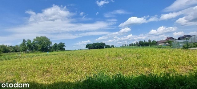 Niesiebędowice, Korfantów, nyski, opolskie