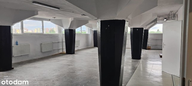 Magazyn Sala treningowa Bezpośrednio Górczyn