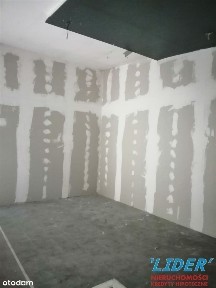 Wola, Miedźna, pszczyński, śląskie