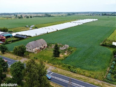 Siedlisko w Renicach na dużej działce
