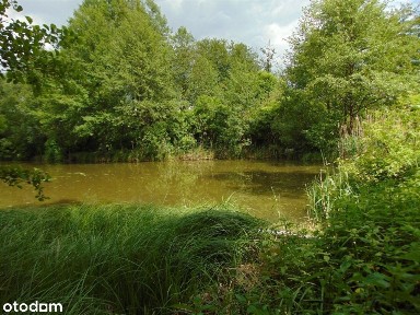 Siedlisko Piotrkowo 3 stawy, 2 garaże Unikat