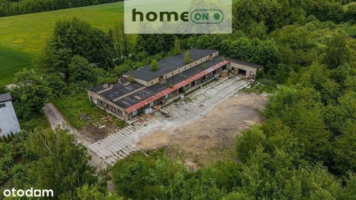 Mzurów, Niegowa, myszkowski, śląskie