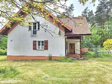 Dom w pięknej okolicy w Borowie gmina Miedźno
