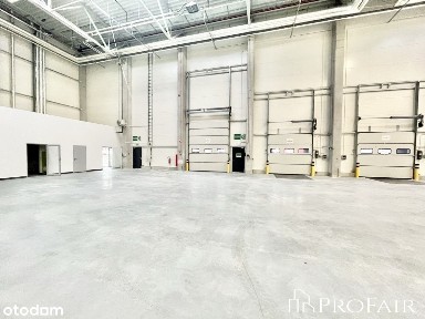 ul. Hutnicza, Chylonia, Gdynia, pomorskie