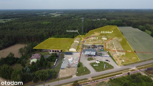 Nowe Miasto, płoński, mazowieckie