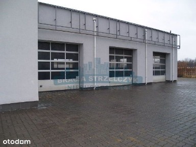 Zacisze, Targówek, Warszawa, mazowieckie