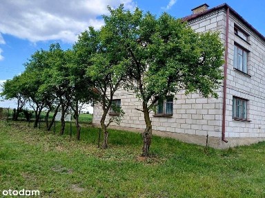 Siedlisko z dużą działką! Wyszonki-Nagórki